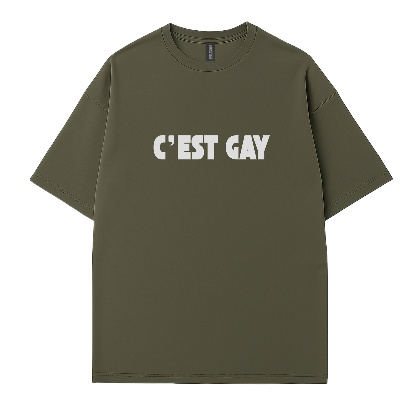 Cest Gay T-Shirt